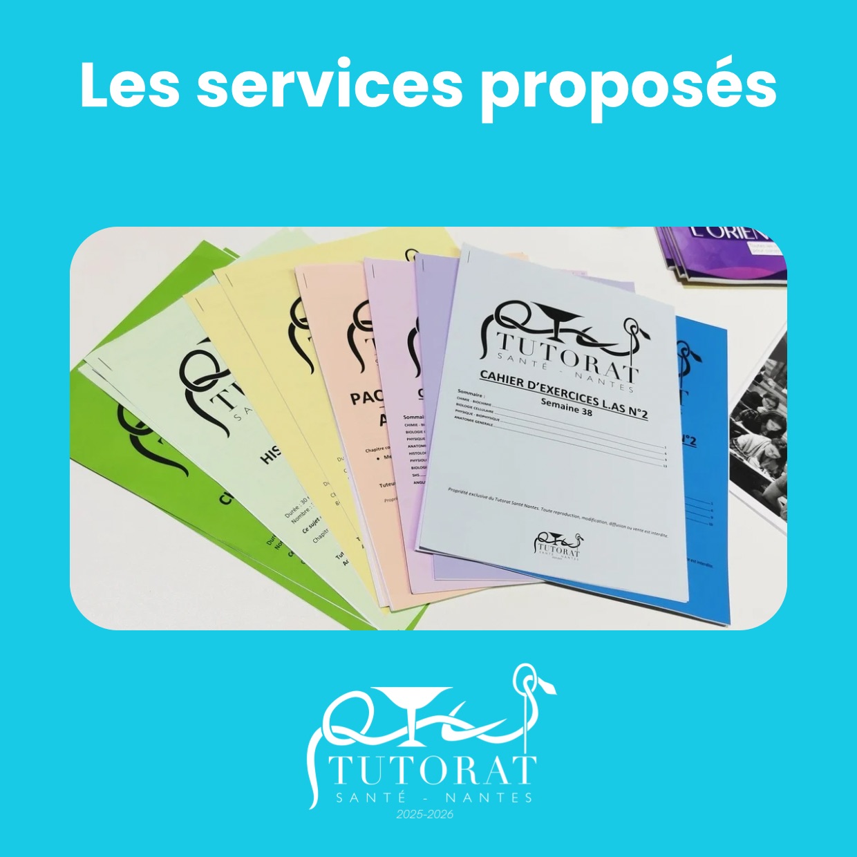 Les services proposés