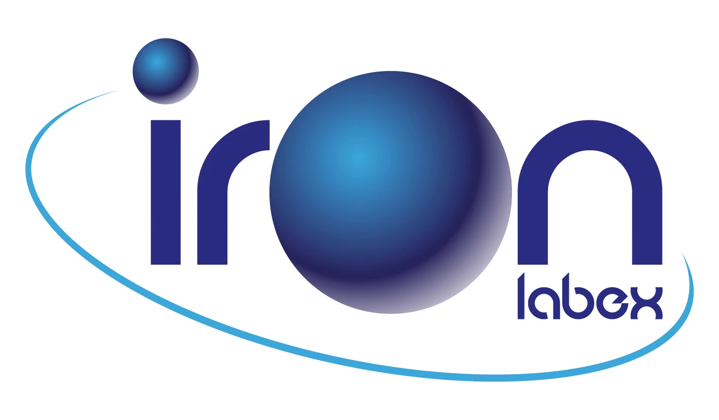 Labex Iron